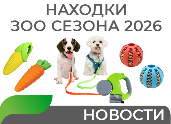 Находки зоо сезона 2026 
