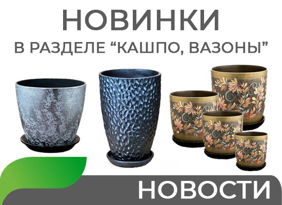 Новинки в разделе "Кашпо, вазоны" 