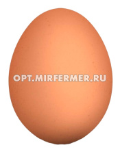 Яйцо-муляж подкладное куриное резиновое (муляж) 1/20 КП
