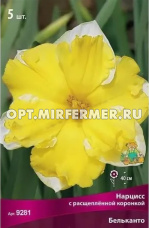 Нарцисс с Расщеплённой коронкой Бельканто 5шт (белый, коронка светло-жёлтая, слегка гофриро,  12/14)