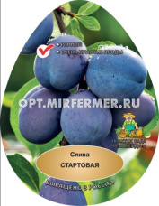Слива Стартовая С10 (ранняя, темно-красные)