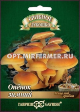 Мицелий Опенок зимний на древесной палочке 12 шт (Гавриш)