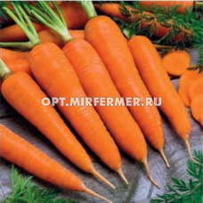 Морковь Королева осени 1кг Ср (Поиск)