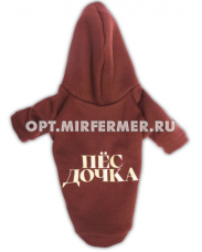 Толстовка р-р 2XL спинка 43см ПЕС ДОЧКА LPK-0438/Lion