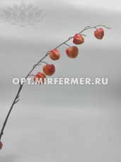Искусственные цветы Физалис h80