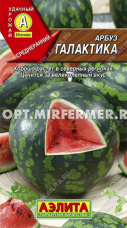 Арбуз Галактика 1г Ранн (Аэлита)