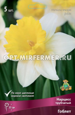 Нарцисс Трубчатый Гоблет 5шт ( белый с желтой коронкой, 12/14, h35см)