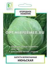 Капуста б/к Июньская 0,5г Ранн (Поиск) Огородное изобилие