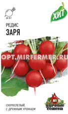 Редис Заря 2г Ранн (Гавриш) ХИТ х3