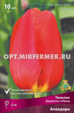 Тюльпан Дарвинов гибрид Апелдорн 10шт (ярко-красный, 11/12, h55см)