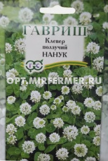 Клевер белый 0,1кг ползучий Нанук  (Гавриш) 1/20