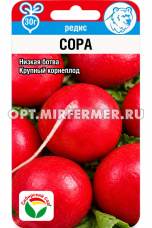 Редис Сора F1 0,5г Ранн (Сиб Сад)
