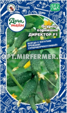 Огурец Директор F1 6шт Парт Ср (Дача тайм)