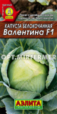Капуста б/к Валентина F1 0,1г Поздн (Аэлита)