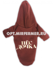 Толстовка р-р M спинка 27см ПЕС ДОЧКА LPK-0438/Lion