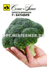 Капуста брокколи Батавия F1 10шт Ранн (Семко)