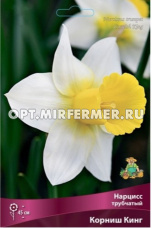 Нарцисс Трубчатый Корниш Кинг 5шт ( белый, коронка желтая, крупная, 12/14, h45см)